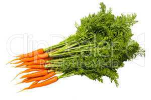 Fresh carrot fruits with green leaves.