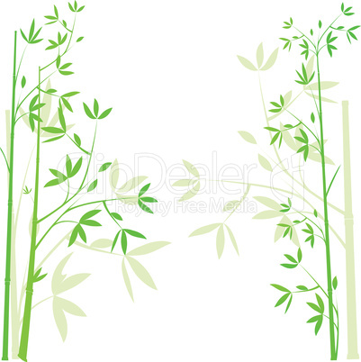 Green bamboo background, illustration