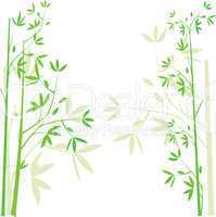 Green bamboo background, illustration