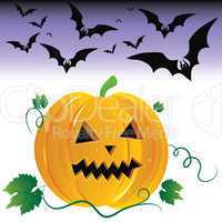 Halloween pumpkin and night bats