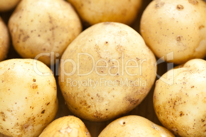 Fresh potatoes