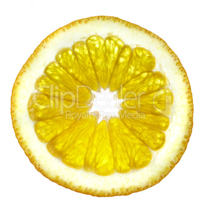 Slice of an orange on a white background.