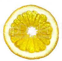 Slice of an orange on a white background.