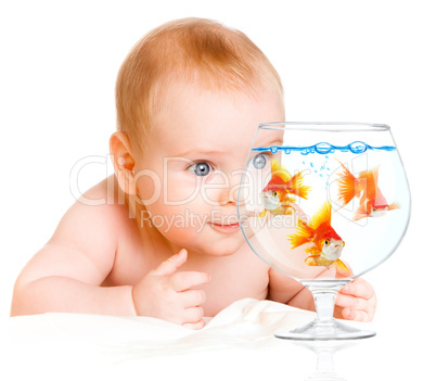 baby and  goldfishs