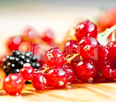 currants