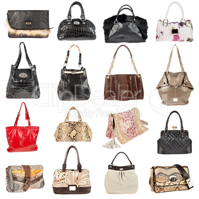 Female leather handbags on a white background