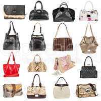 Female leather handbags on a white background