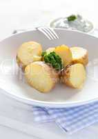 frische Kartoffeln / fresh potatoes