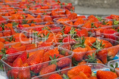 Erdbeeren auf dem Wochenmarkt