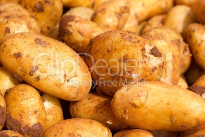 Kartoffeln vom Bauern