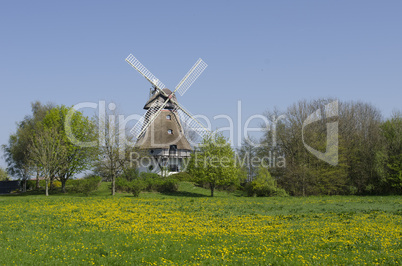 Windmühle in Bobeck, Schleswig-Holstein