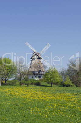 Windmühle in Bobeck, Schleswig-Holstein