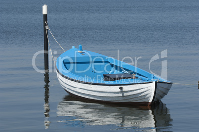 Ruderboot auf der Schlei bei Maasholm, Schleswig-Holstein