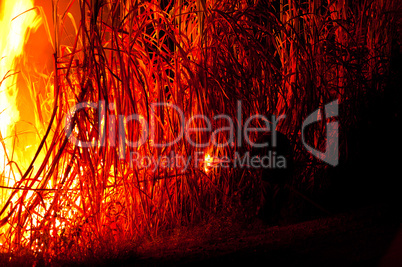 Big fire on the farmland