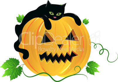 Black cat and pumpkin