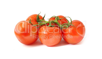 fresh tomatoes on white