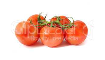 fresh tomatoes on white