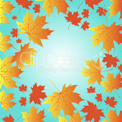 autumn leaves against a background of blue sky