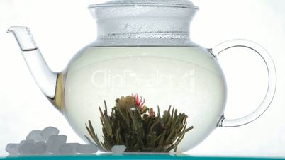Green Chinese flower tea