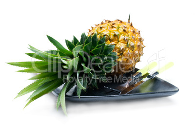 pineapple