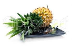 pineapple