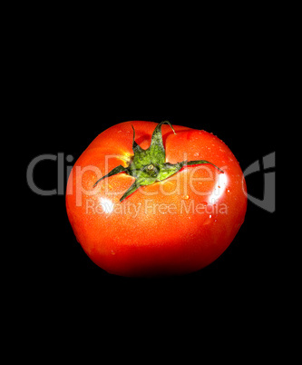 tomato on black