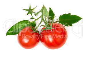 Zwei reife Tomaten mit frischen Blättern