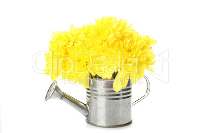 Watering can with yellow flowers