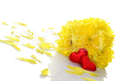 Yellow chrysanthemums with two red hearts