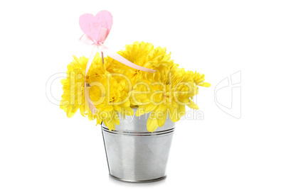 Yellow chrysanthemums in a pail