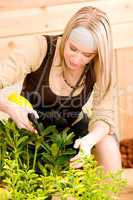 Gardening woman watering plants in spring