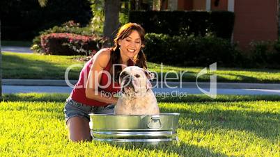 Brunette Female Bathing Her Pet Bulldog