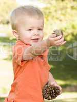 Cute Young Boy with Pine Cones in the Park