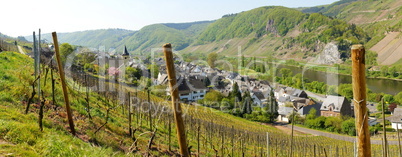 Burg an der Mosel Panorama