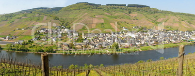 Reil an der Mosel