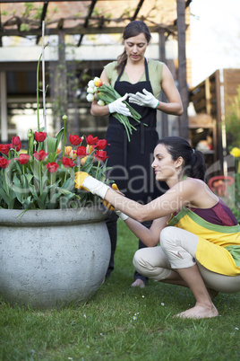 Zwei Frauen bei Gartenarbeit