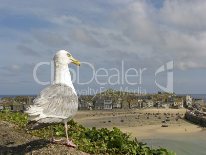 St. Ives, Penwith, Cornwall, Südwestengland, UK