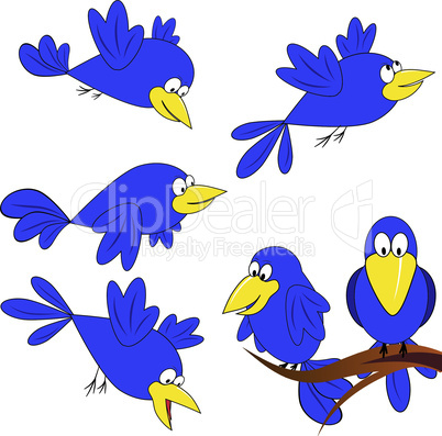 Cute bird are flying in different poses.