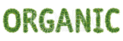 Grass Alphabet A-Z