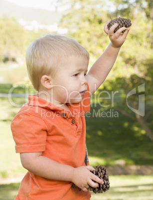 Cute Young Baby Boy with Pine Cones in the Park