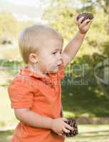 Cute Young Baby Boy with Pine Cones in the Park