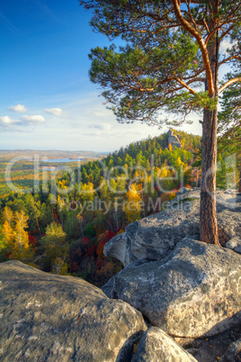 autumn landscape with mountains and pine tree