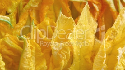 Courgette flowers