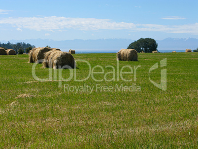 hay bales