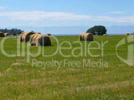 hay bales