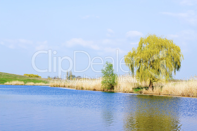 view of the river from the shore