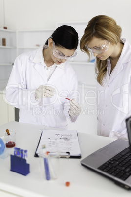 Two scientists observing a test tube