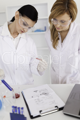 Two scientists conducting an experiment