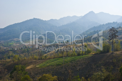 Thai mountains