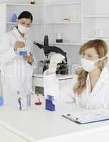 Dark-haired and blond-haired scientists conducting an experiment